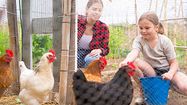 Dans le Gers, une gamme complète de produits pour les animaux